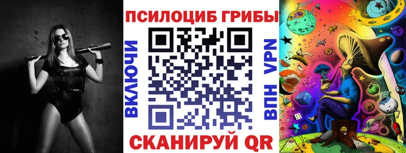 Купить  Балашиха  Псилоцибиновые грибы мицелий 